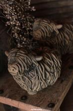 Scottish Highlander BRYNXZ Majestic Brown, Www.jufbrocante.nl, Www.jufbrocante.nl, Nieuw, Ophalen of Verzenden