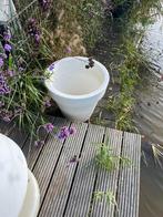 2x Grote Elro Bloempotten - 59cm, Tuin en Terras, Bloempotten, Ophalen, Kunststof, Gebruikt, 40 cm of meer