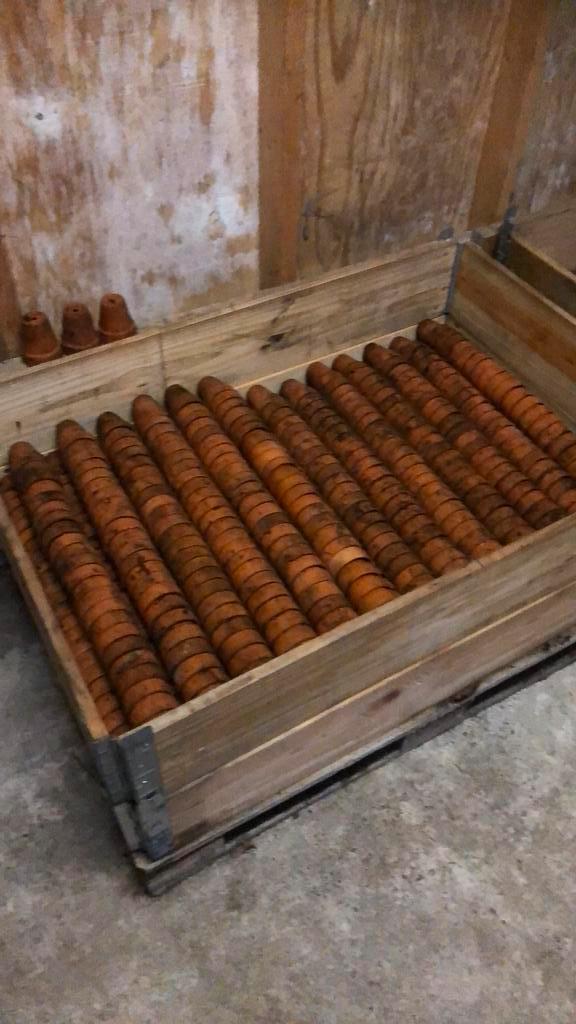 Kleine terra cotta potjes, Hobby en Vrije tijd, Overige Hobby en Vrije tijd, Ophalen