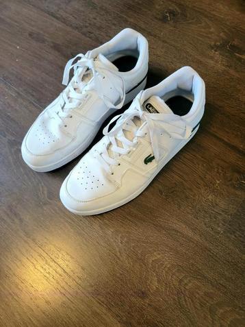 Fantastische, originele witte Lacoste sneakers, maat 44 beschikbaar voor biedingen