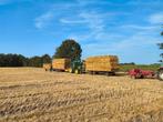 Kleine balen Gerste stro, Dieren en Toebehoren, Ophalen, Vee