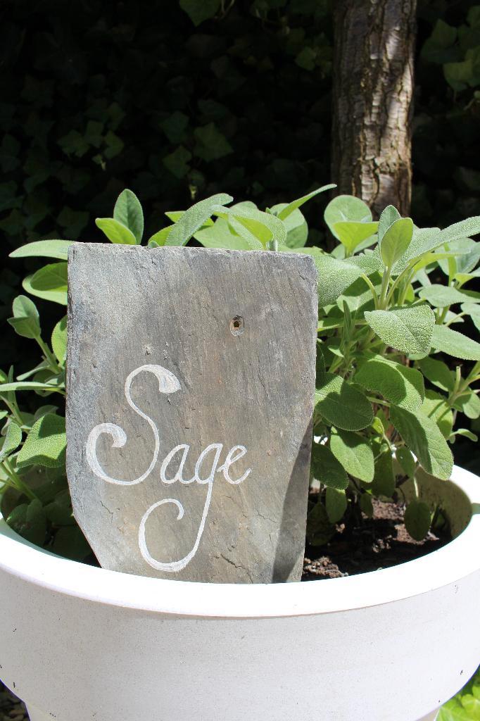 Oude sleetse lei / kruidensteker Sage (Salie) Pronck & Praal, Antiek en Kunst, Curiosa en Brocante, Ophalen of Verzenden