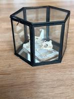 Taxidermie, Javaanse pad, Duttaphrynus melanostictus, Verzamelen, Ophalen of Verzenden, Zo goed als nieuw