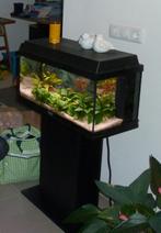 Juwel Aquarium met bijbehorend tafeltje, Dieren en Toebehoren, Ophalen, Gebruikt, Leeg aquarium