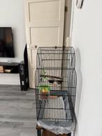kanarie, Ophalen of Verzenden, Zo goed als nieuw, Metaal, Vogelkooi
