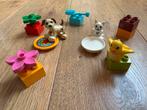 Duplo dieren, Ophalen of Verzenden, Zo goed als nieuw, Duplo