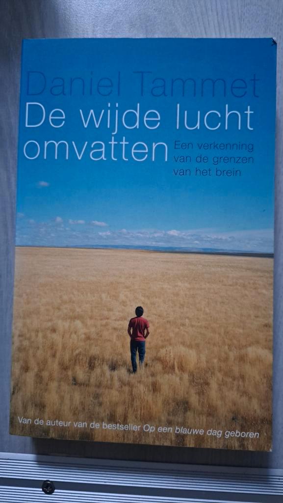 De wijde lucht omvatten - Daniel Tammet, Boeken, Psychologie, Ophalen of Verzenden