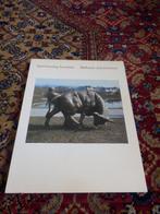 Karl-Henning Seemann: Bildhauer und Zeichner 1992-1998, Ophalen of Verzenden, Zo goed als nieuw, Beeldhouwkunst