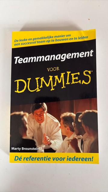 Marty Brounstein - Teammanagement voor dummies beschikbaar voor biedingen