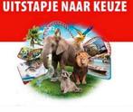 4 entreekaarten uitstapje naar keuze vd postcodeloterij, Drie personen of meer, Ticket of Toegangskaart