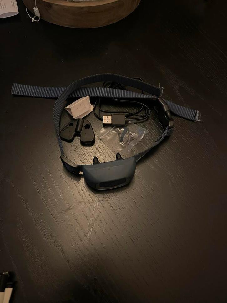 Blafband petsafe, Dieren en Toebehoren, Honden-accessoires, Zo goed als nieuw, Ophalen of Verzenden