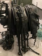 Tweespan tuig leer maat full, Ophalen of Verzenden, Gebruikt, Overige soorten