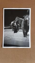 Circus/mooie foto`s van Circus Krone 1975 Nederland tournee., Ophalen of Verzenden, Zo goed als nieuw