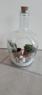 Mooi flesvaaz met ehte plante, Huis en Inrichting, Ophalen of Verzenden, Zo goed als nieuw