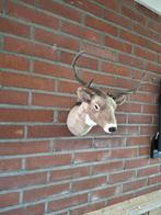 Zachte hertenkop super mooie, Verzamelen, Dierenverzamelingen, Ophalen of Verzenden, Zo goed als nieuw, Beeldje of Figuurtje