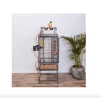 Keddoc vogelkooi, Ophalen, Gebruikt, Metaal, Vogelkooi