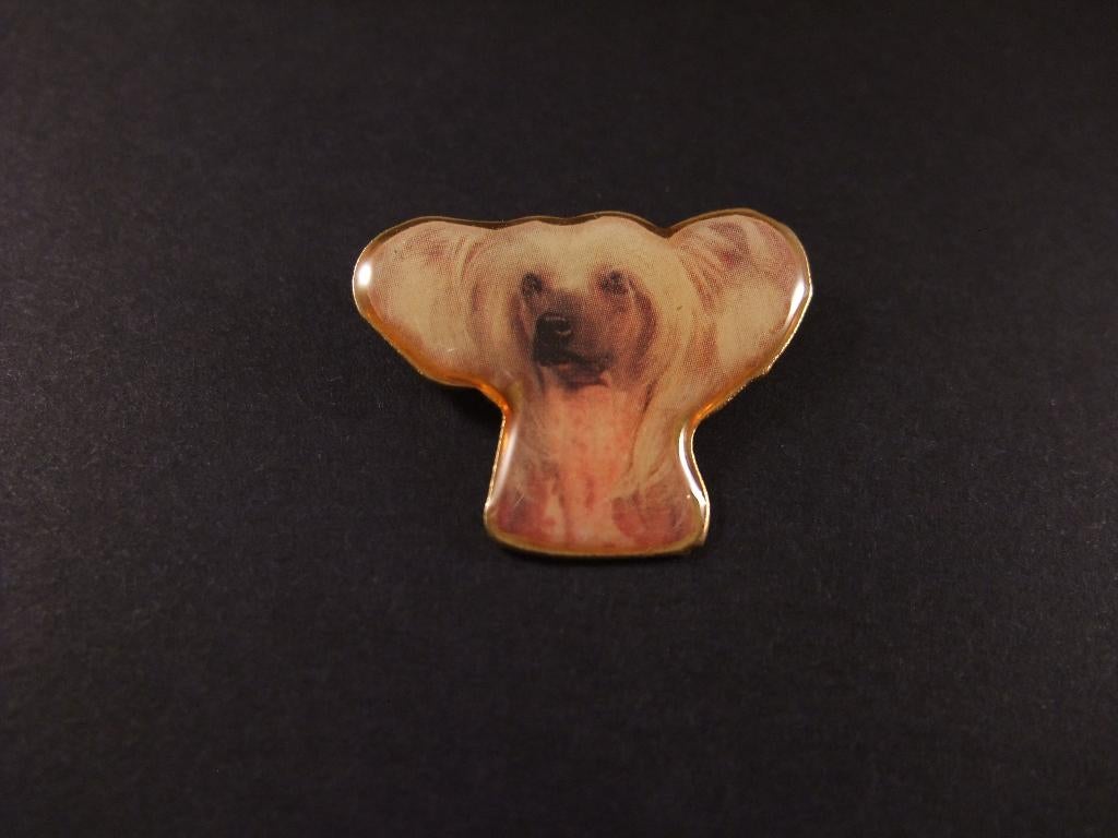 Chinese gekuifde naakthond ( gezelschapshond), pin, Ophalen of Verzenden, Gebruikt, Overige onderwerpen