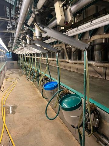 Gea 2x20 swing over melkstal  beschikbaar voor biedingen