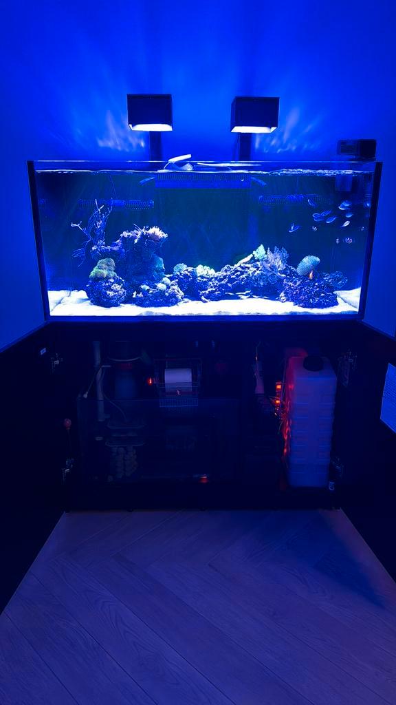 Red Sea 425 XL, Dieren en Toebehoren, Vissen | Aquaria en Toebehoren, Zo goed als nieuw, Leeg aquarium, Ophalen