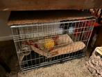 Hondenbench kleine/ middelgrote hond gratis afhalen, Ophalen, Gebruikt