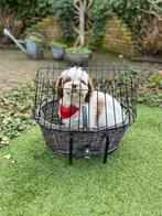 Hondenfietsmandje (Exclusief hond), Dieren en Toebehoren, Ophalen, Nieuw