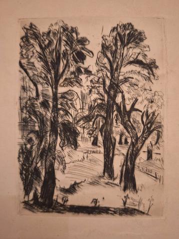 Ets van een Bomen in park beschikbaar voor biedingen