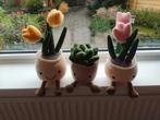 Plant knuffels nieuw, Huis en Inrichting, Woonaccessoires | Kunstplanten en Kunstbloemen, Ophalen, Nieuw