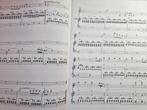 The Young Wolfgang Amadeus Mozart - Bladmuziek, Gebruikt, Klassiek, Overige soorten, Zang