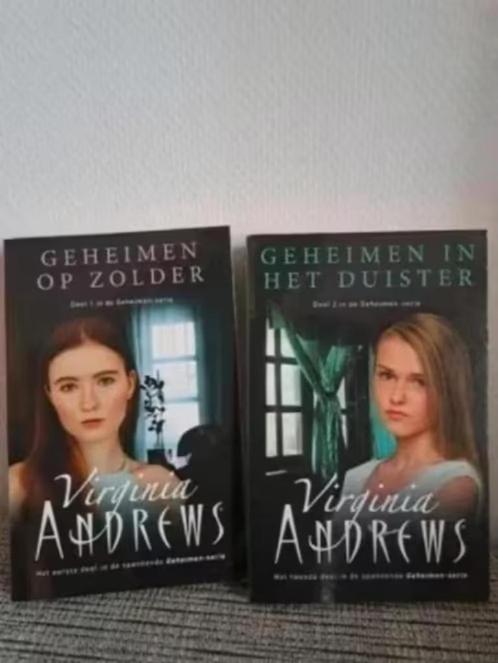 Virginia Andrews - GEHEIMEN-serie compleet / in 2 delen, Boeken, Romans, Zo goed als nieuw, Nederland, Ophalen of Verzenden