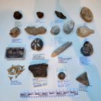 Fossielen verzameling uit oude collectie 16 soorten, Ophalen of Verzenden, Fossiel