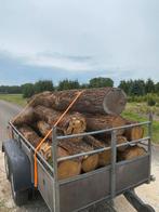 3 stere hout beuken en eiken hout, Tuin en Terras, Haardhout, Ophalen of Verzenden, Eikenhout, Stammen