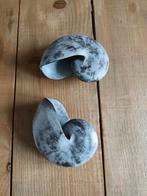 Riverdale Schelpen Decoratie, Huis en Inrichting, Ophalen of Verzenden, Zo goed als nieuw