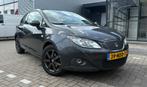 Seat Ibiza 1.2 TDI 55KW Ecomotive 2010 Grijs, Voorwielaandrijving, 74 pk, 1199 cc, Ibiza