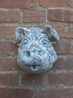 Varken wanddecoratie betonnen beeld tuinbeeld beton, Ophalen of Verzenden, Nieuw