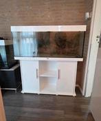 Juwel Rio 240L (121x41x56) KOOPJE, Dieren en Toebehoren, Vissen | Aquaria en Toebehoren, Ophalen, Gebruikt, Leeg aquarium