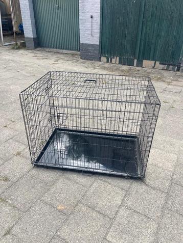 Honden bench XXL  beschikbaar voor biedingen