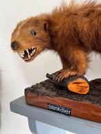 Opgezette dieren  stinkdier  taxidermie, Opgezet dier, Ophalen of Verzenden, Zo goed als nieuw