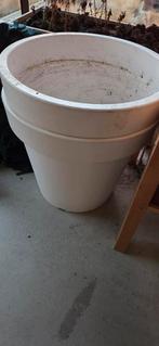 Grote witte bloempot, Tuin en Terras, Bloempotten, Ophalen, Kunststof, Gebruikt, 40 cm of meer