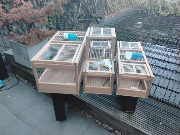 Vangkooien klepkooien voorfrontjes Zitstokken, Dieren en Toebehoren, Vogels | Hokken en Kooien, Ophalen of Verzenden