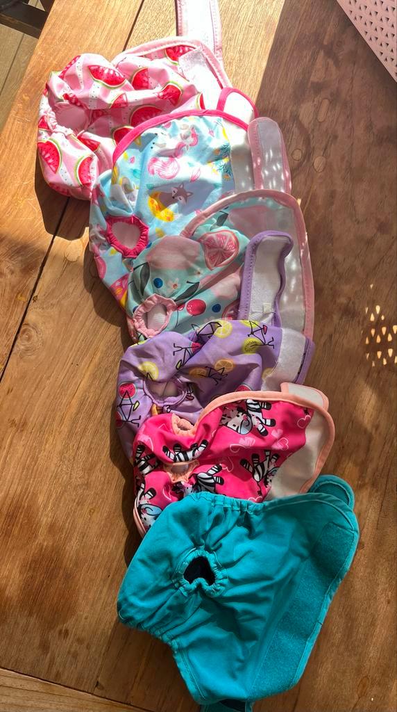 Uitwasbare Hondenluiers Maat Small, Dieren en Toebehoren, Honden-accessoires, Gebruikt, Ophalen of Verzenden