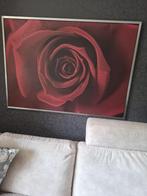 Schilderij Roos, Ophalen