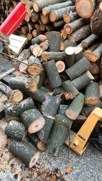 Brandhout krentenhout, Ophalen, Blokken