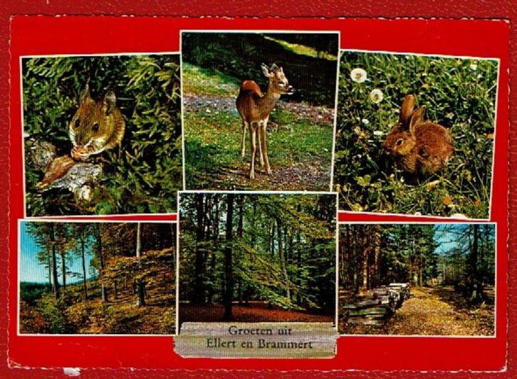 Dieverbrug - Dieren (Groeten uit Ellert en Brammert) - 1969, Verzamelen, Ansichtkaarten | Nederland, Gelopen, Drenthe, 1960 tot 1980