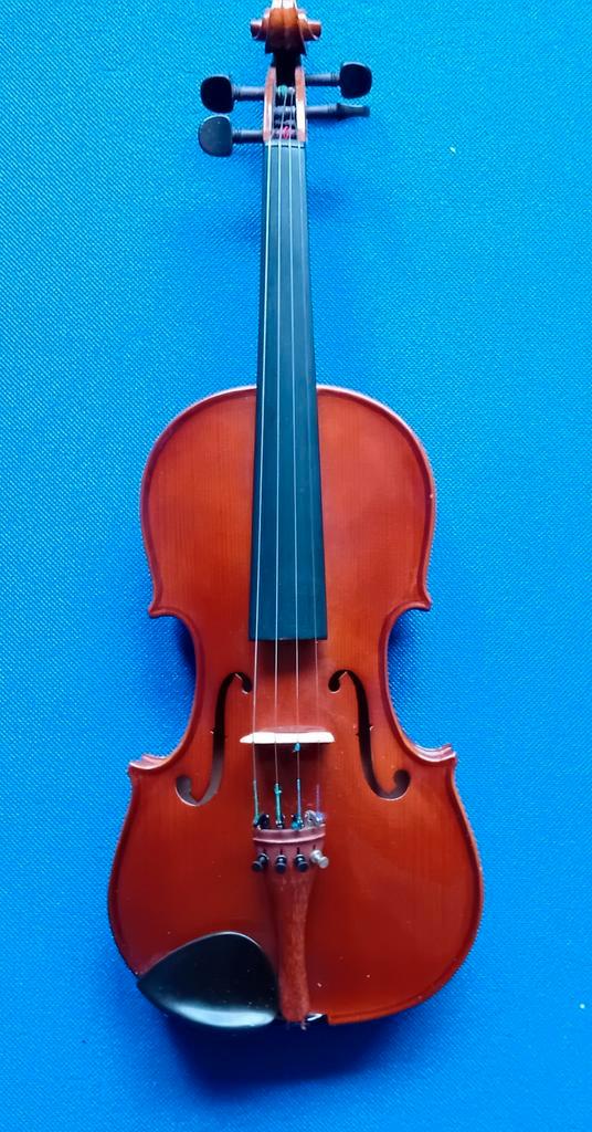 Stentor Student Standard Viool 4/4 - Zo g8oed als nieuw, Muziek en Instrumenten, Strijkinstrumenten | Violen en Altviolen, Zo goed als nieuw