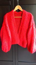 Mohair vest, Kleding | Dames, Truien en Vesten, Ophalen of Verzenden, Nieuw