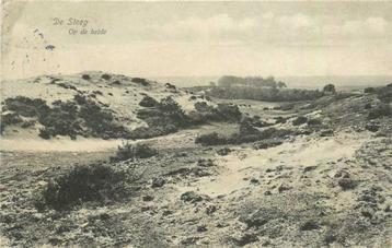 (380-181-025) De Steeg Op de Heide beschikbaar voor biedingen