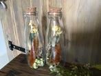 NIEUW 8 GLAZEN FLESJES VAASJES MET DROOGBLOEMEN, Ophalen of Verzenden, Nieuw