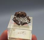 Aragoniet - Herchenberg, Eifel, Duitsland (UV LW), Ophalen of Verzenden, Mineraal