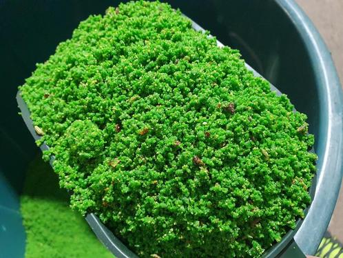 Verdure Rul Eivoer 1kg ( + Vitamine Complex ) Pineta Zootecn, Dieren en Toebehoren, Vogels | Toebehoren, Nieuw, Eten en Drinken