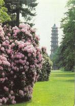 Ansichtkaart	London (Engeland)	Royal Botanic Gardens, Kew, Verzenden, 1980 tot heden, Gelopen, Engeland